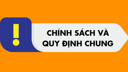 Nhận diện tấm lợp lấy sáng chính hãng VinLite